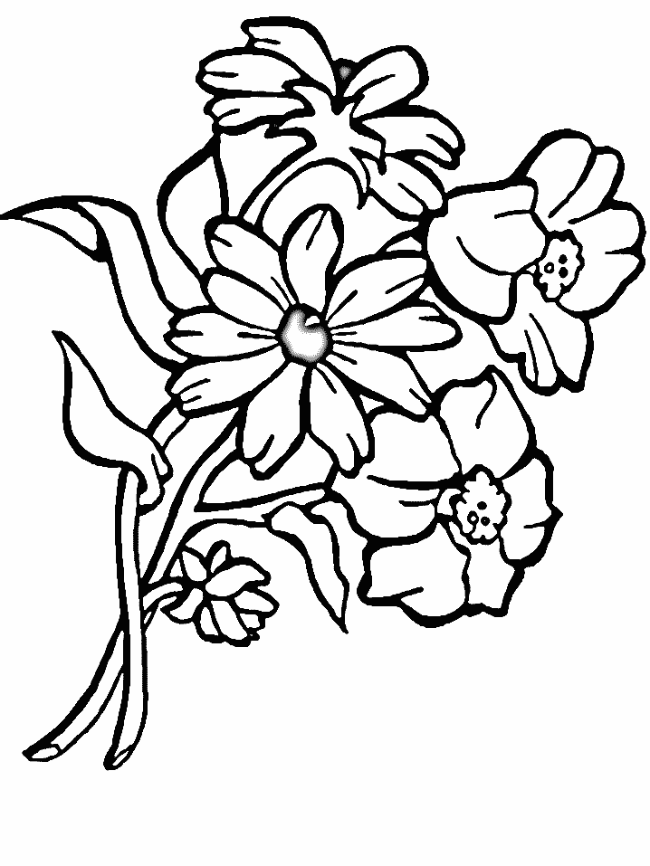 coloriage marguerites et narcisses